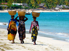 March 2, 2026: RRW Product Download Update