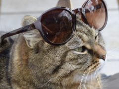 March 23, 2026: RRW Product Download Update