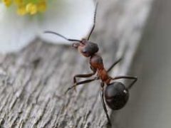 April 28, 2024: RRW Product Download Update