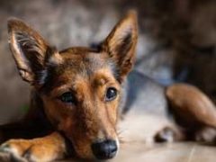 April 23, 2024: RRW Product Download Update