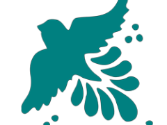 February 5, 2025: RRW Product Download Update