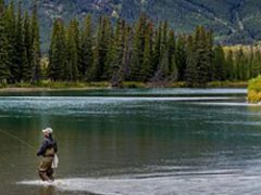 April 2, 2025: RRW Product Download Update