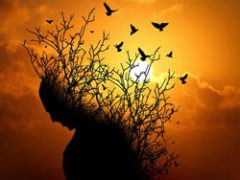 April 1, 2025: RRW Product Download Update