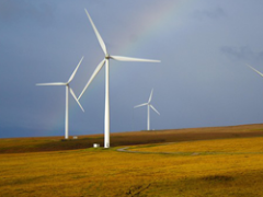 July 24, 2025: RRW Product Download Update