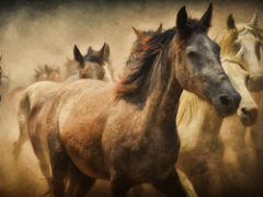 November 7: RRW Product Download Update