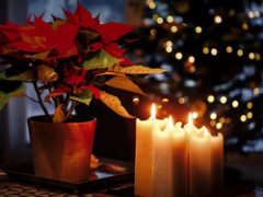 December 29, 2025: RRW Product Download Update