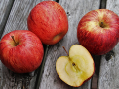 December 28, 2025: RRW Product Download Update