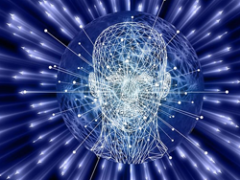 February 19, 2026: RRW Product Download Update