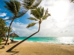 February 2, 2026: RRW Product Download Update