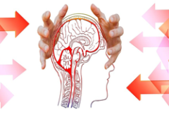 March 31, 2026: RRW Product Download Update